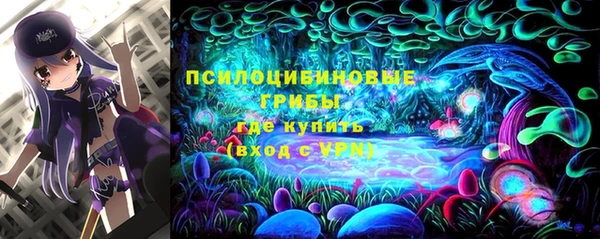 герыч Абаза